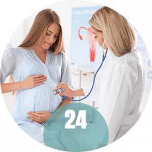 Badania w 24 tygodniu ciąży Badania w 24 tygodniu ciąży