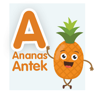 ananas-antek ananas-antek