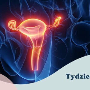 1. tydzień ciąży  1. tydzień ciąży