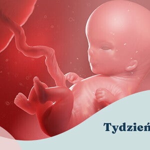 11. tydzień ciąży 11. tydzień ciąży