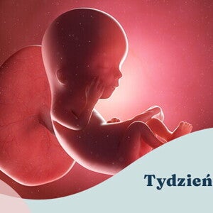 12. tydzień ciąży 12. tydzień ciąży
