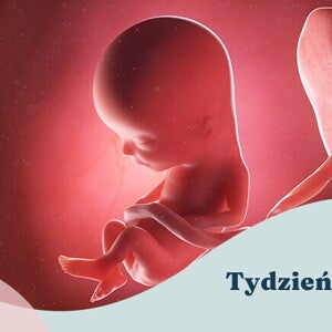 13. tydzień ciąży 13. tydzień ciąży