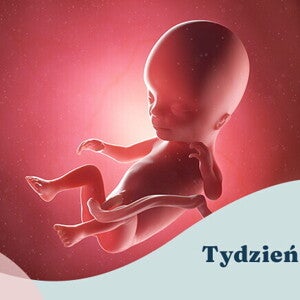 14. tydzień ciąży 14. tydzień ciąży
