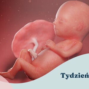 15. tydzień ciąży 15. tydzień ciąży