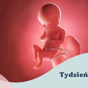 16. tydzień ciąży 16. tydzień ciąży