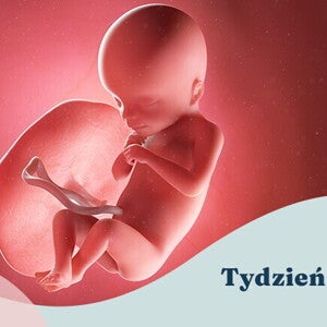 18. tydzień ciąży 18. tydzień ciąży