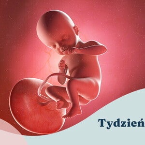21. tydzień ciąży 21. tydzień ciąży