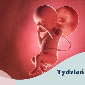 23. tydzień ciąży 23. tydzień ciąży