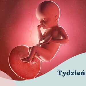 25. tydzień ciąży