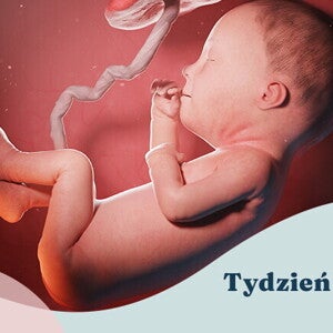 27. tydzień ciąży 27. tydzień ciąży