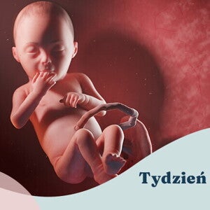 28. tydzień ciąży
