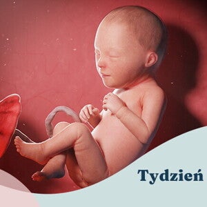 30. tydzień ciąży 30. tydzień ciąży