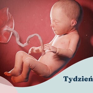 31. tydzień ciąży 31. tydzień ciąży