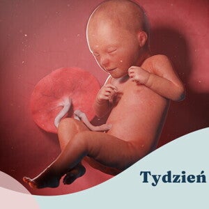 32. tydzień ciąży