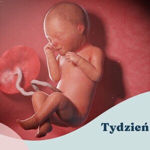 33. tydzień ciąży