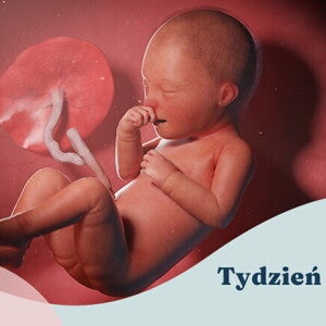 34. tydzień ciąży
