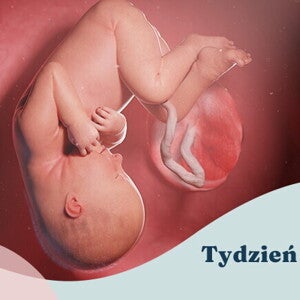 35. tydzień ciąży