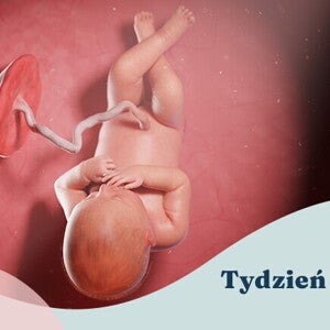 36. tydzień ciąży