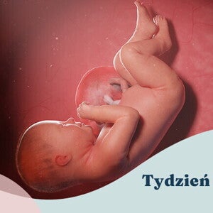 38. tydzień ciąży