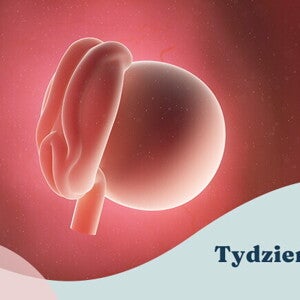 4. tydzień ciąży 4. tydzień ciąży