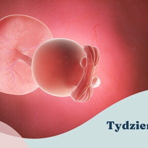 5. tydzień ciąży 5. tydzień ciąży
