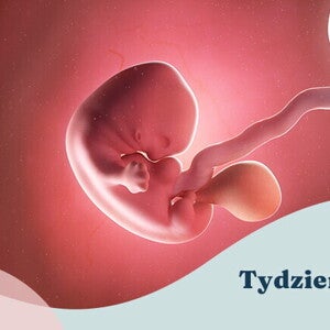 7. tydzień ciąży