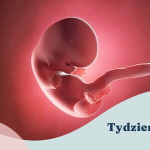 8. tydzień ciąży 8. tydzień ciąży