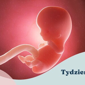 9. tydzień ciąży 9. tydzień ciąży