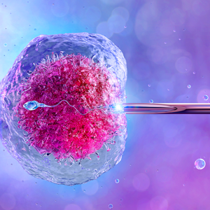 Zapłodnienie in vitro widziane w dużym powiększeniu pod mikroskopem