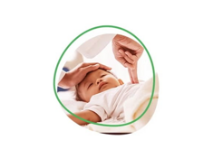 probki_banner_