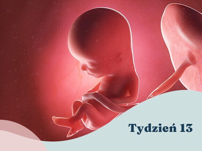 13. tydzień ciąży