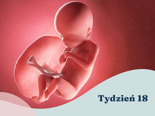 18. tydzień ciąży