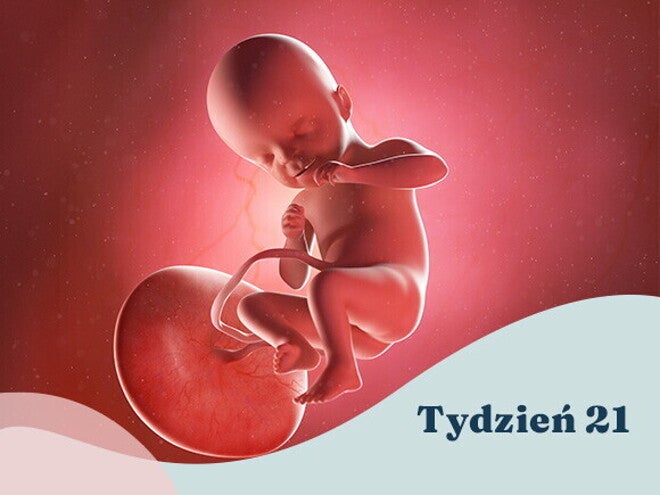 21. tydzień ciąży