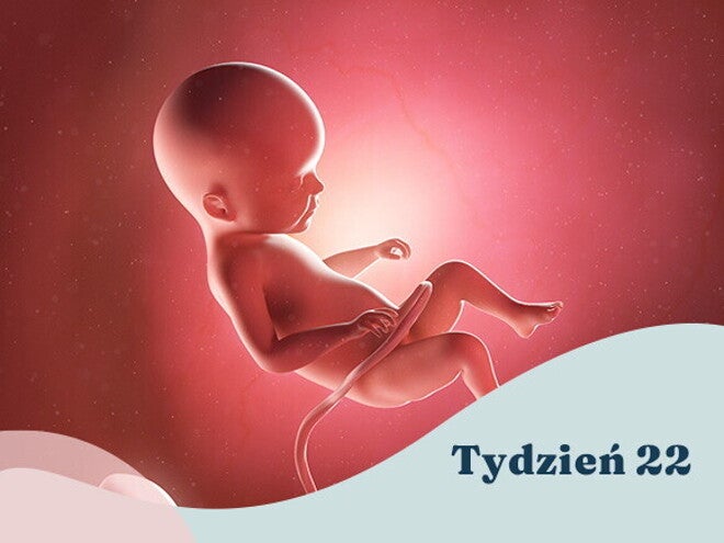 22. tydzień ciąży
