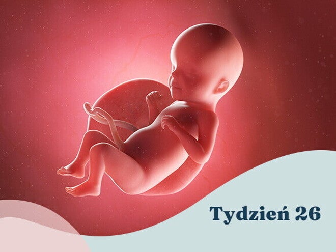 26. tydzień ciąży 