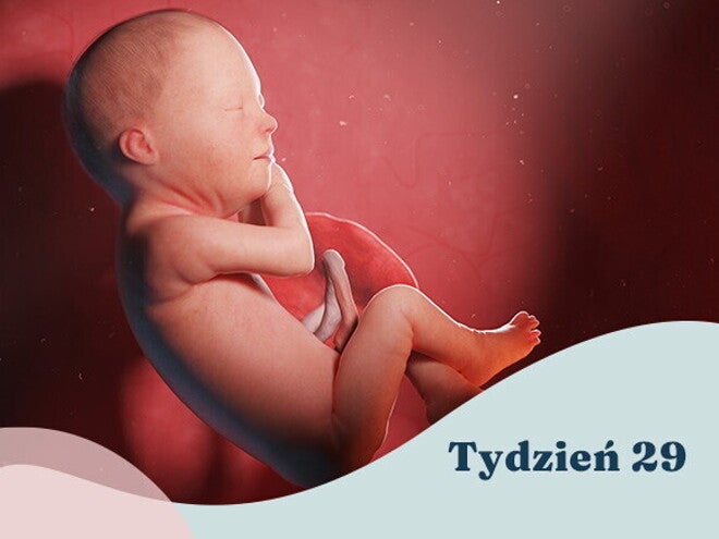 29. tydzień ciąży
