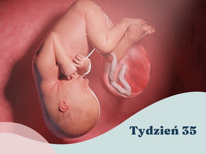 35. tydzień ciąży