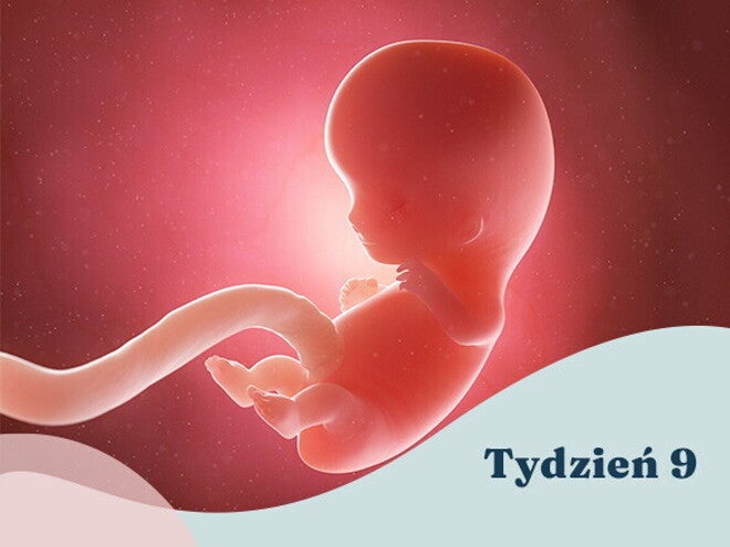 9. tydzień ciąży