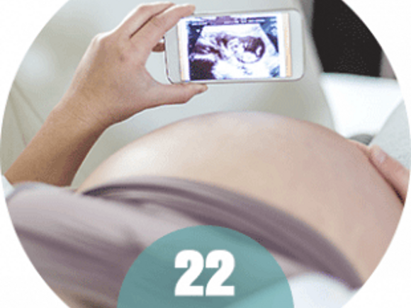 22 tydzień ciąży - kobieta i usg