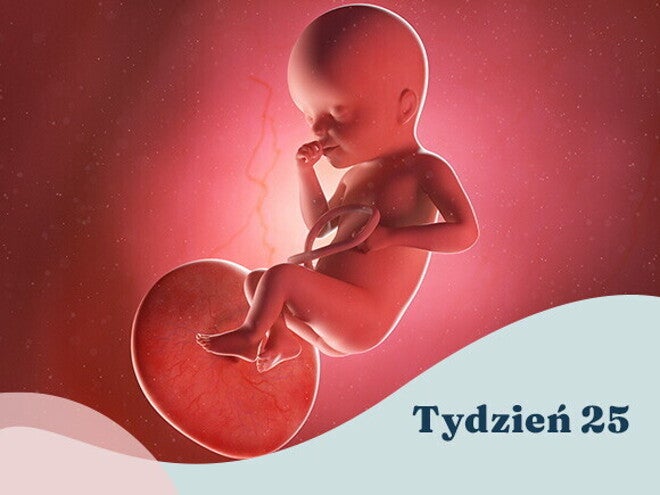 25. tydzień ciąży