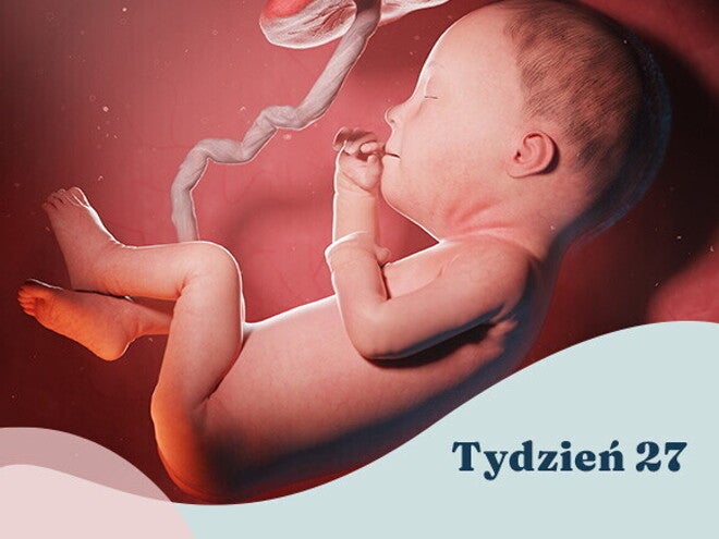 27. tydzień ciąży