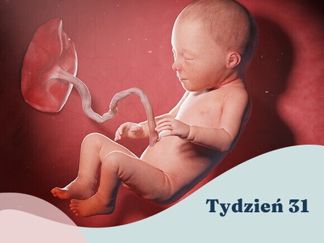 31. tydzień ciąży