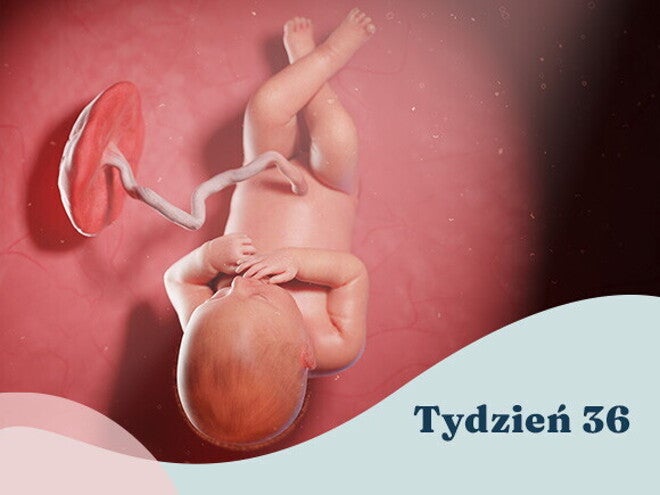 36. tydzień ciąży
