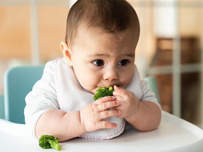 Baby in high chair with a small piece of broccoli.