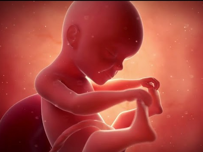 25. tydzień ciąży