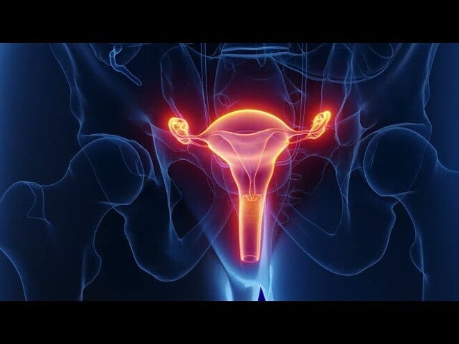 Nestlé FamilyNes: 1. tydzień ciąży – Kalendarz ciąży