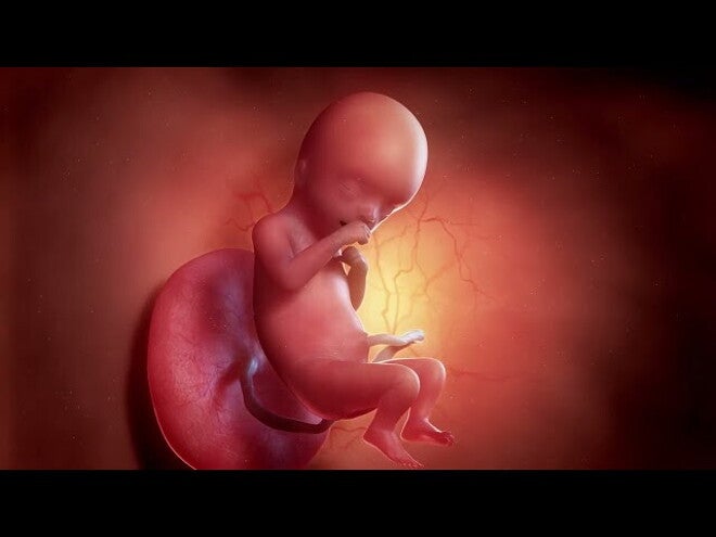 Nestlé FamilyNes: 16. tydzień ciąży – Kalendarz ciąży