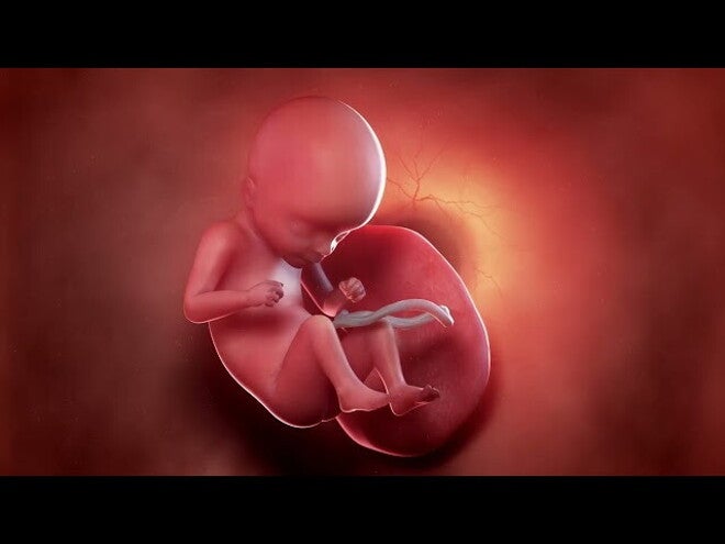 Nestlé FamilyNes: 18. tydzień ciąży – Kalendarz ciąży