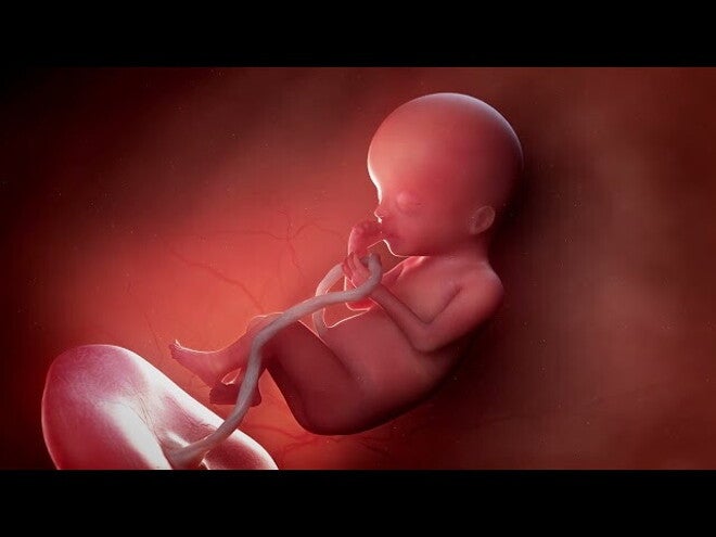 Nestlé FamilyNes: 20. tydzień ciąży – Kalendarz ciąży