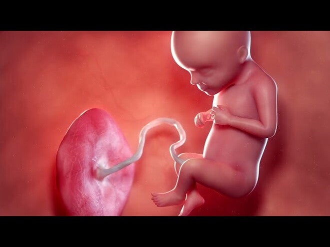 Nestlé FamilyNes: 22. tydzień ciąży – Kalendarz ciąży